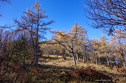 hochplatte-haberspitz-friedenrath-027.jpg