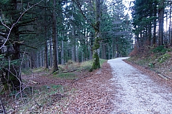 hochplatte-haberspitz-friedenrath-057.jpg