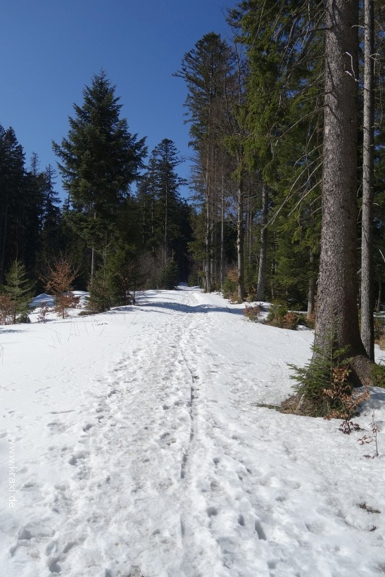 holzeralm-022.jpg