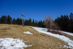 holzeralm-016.jpg