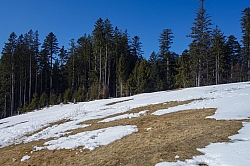 holzeralm-019.jpg