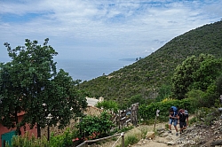 mesco-monte-focone-26.jpg