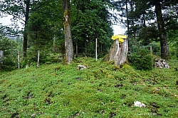 pyramidenspitze-16.jpg