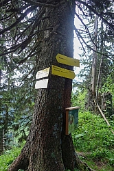 wallberg-risserkogel-20.jpg