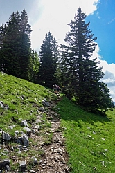 wallberg-risserkogel-25.jpg