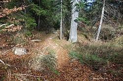 schinder-55.jpg