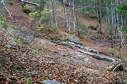schinder-58.jpg