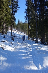 schoenalmjoch-13.jpg