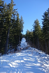 schoenalmjoch-16.jpg