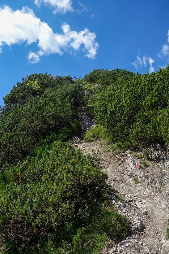 tauernspitze-29.jpg