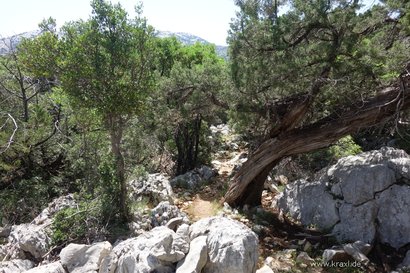 tiscali-sardinien-053.jpg