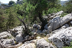 tiscali-sardinien-054.jpg