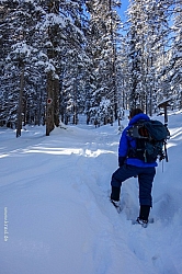 galtjoch-17.jpg
