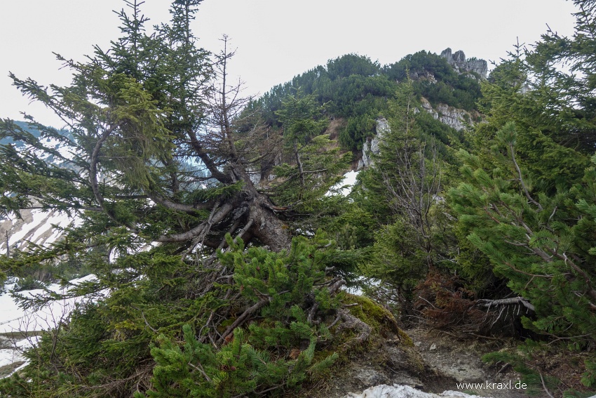 geigelstein-67.jpg