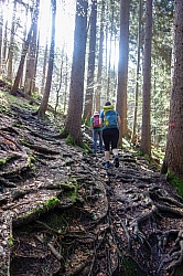 geigelstein-08.jpg