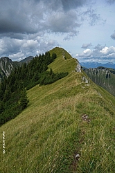 schreckenspitze-042.jpg