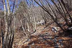 giochello-rocchetta-valdes-013.jpg