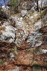 giochello-rocchetta-valdes-015.jpg