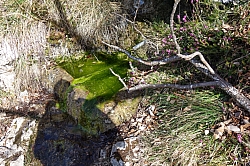 giochello-rocchetta-valdes-016.jpg