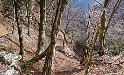 giochello-rocchetta-valdes-076.jpg
