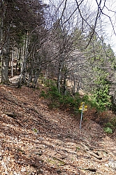 hochstaufen-20.jpg