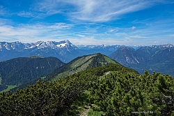 krottenkopf-bischof-034.jpg