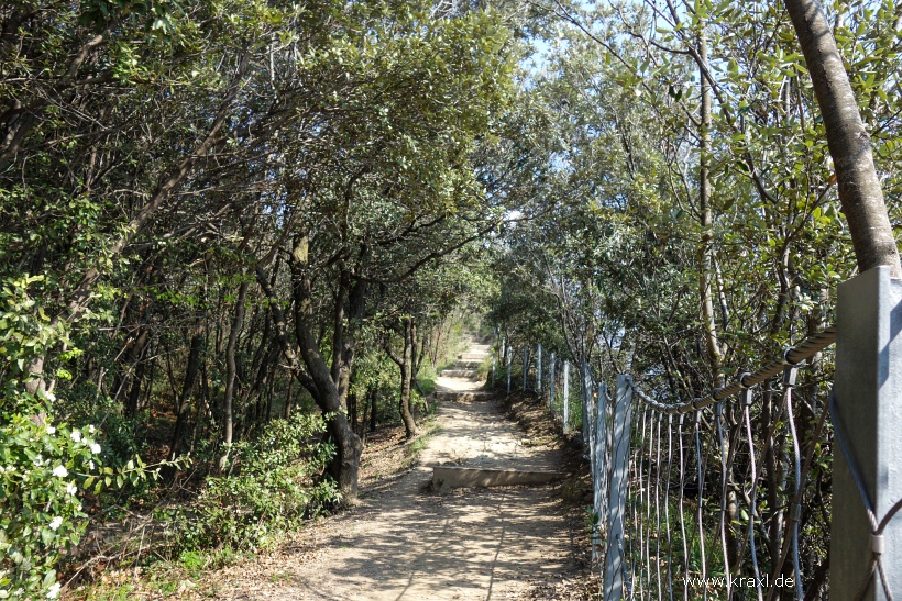 monte-brione-07.jpg