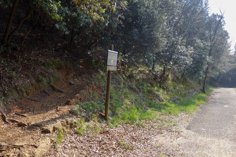 monte-brione-19.jpg