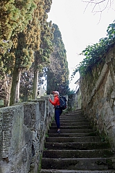 monte-brione-03.jpg