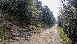 monte-brione-17.jpg