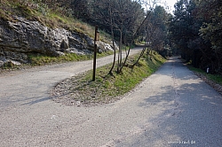 monte-brione-33.jpg