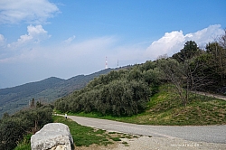 monte-brione-35.jpg