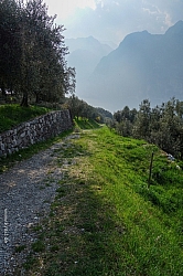 monte-brione-36.jpg