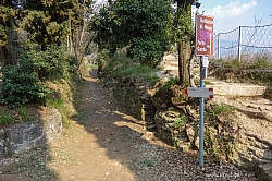 monte-brione-38.jpg