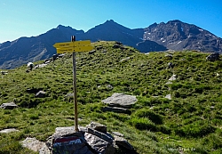 pitztaler-sonnenrunde-079.jpg