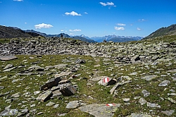 pitztaler-sonnenrunde-111.jpg
