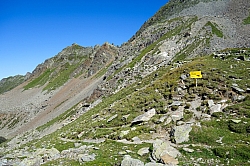 pitztaler-sonnenrunde-156.jpg