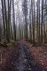 rabenkopf-59.jpg