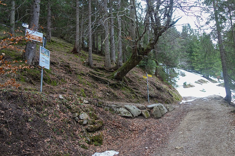 teufelstaettkopf-41.jpg