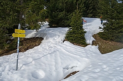 teufelstaettkopf-15.jpg