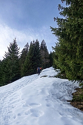 teufelstaettkopf-17.jpg