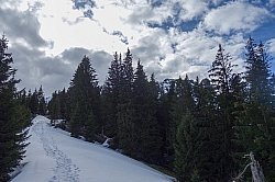 teufelstaettkopf-20.jpg