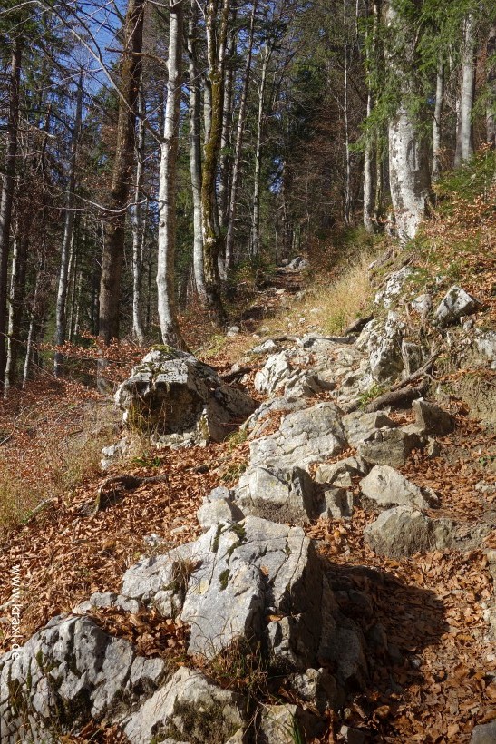hirschberg-015.jpg
