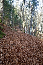 hirschberg-008.jpg