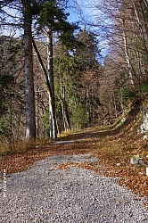 hirschberg-012.jpg
