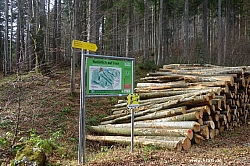 hirschberg-060.jpg
