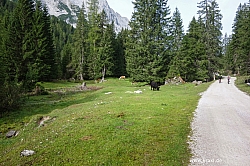 hohe-munde-008.jpg