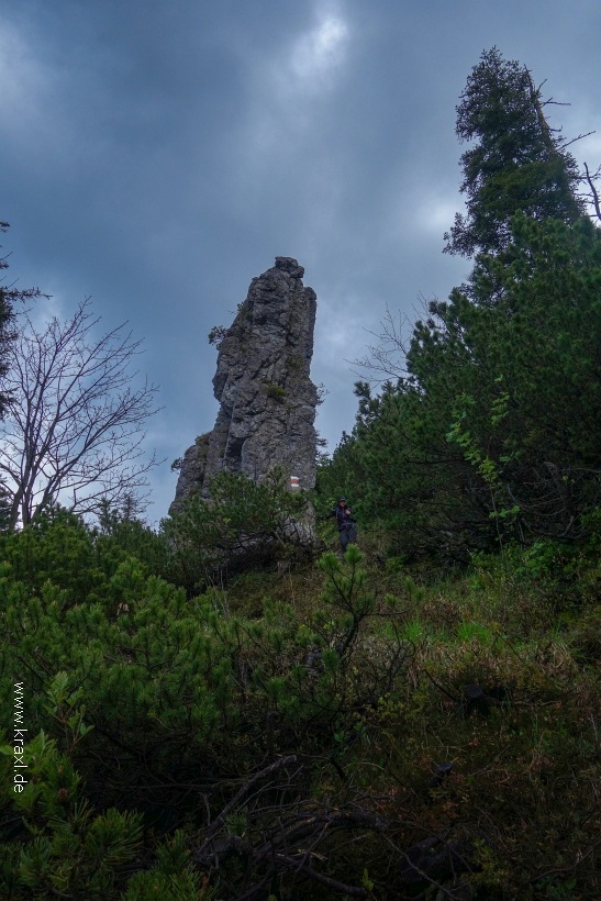 ochsen-auer-spitzkamp-seekarkreut-grasleiten-16.jpg