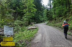 ochsen-auer-spitzkamp-seekarkreut-grasleiten-03.jpg