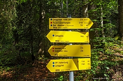 ochsen-auer-spitzkamp-seekarkreut-grasleiten-05.jpg
